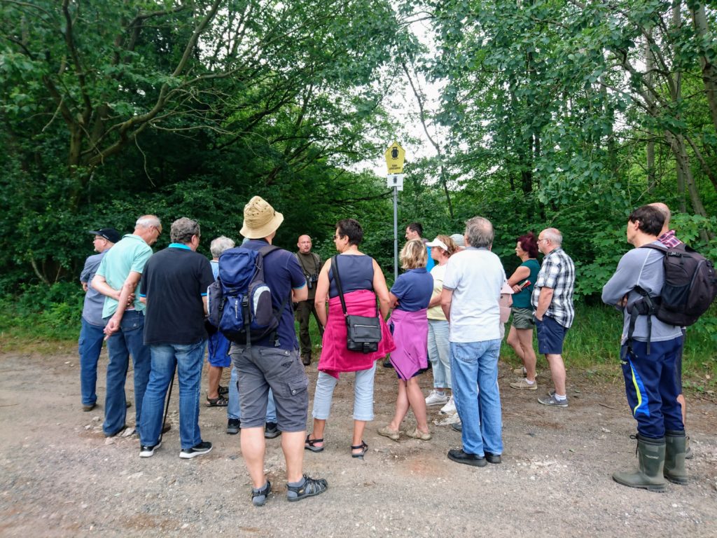 NSG-Haselberg-Tour Haselberg c) R. Bauerfeind