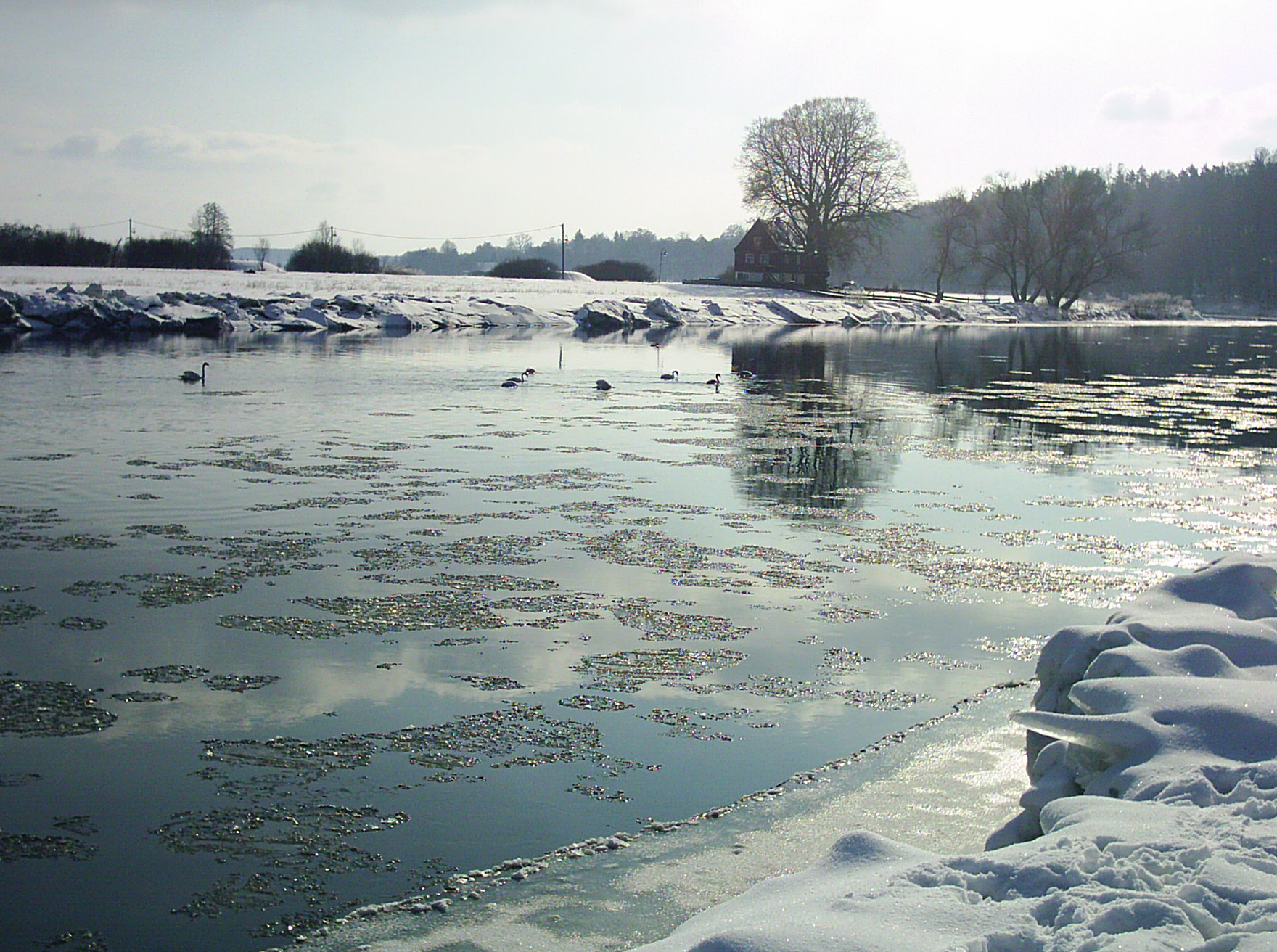 Mulde im Winter