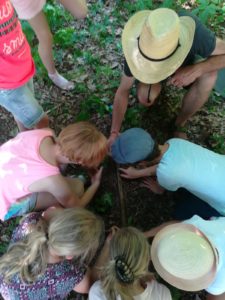 Experimentieren im Park 2019_C Galitzschke