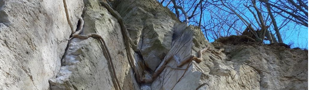 Porphyrfelsen im Mühlsteinbruch Porphyrfelsen im Mühlsteinbruch