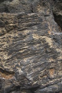 Details der Windschliffe am Naumann-Heim-Felsen, Foto: T. Witzke Details der Windschliffe am Naumann-Heim-Felsen, Foto: T. Witzke
