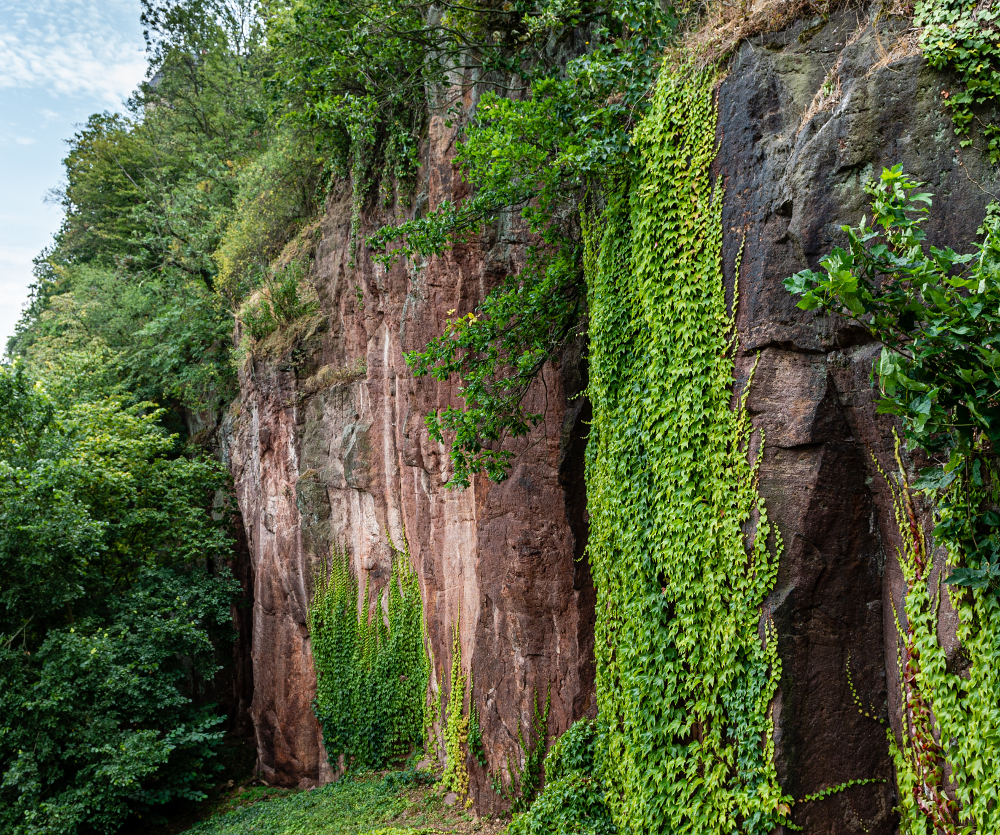 Rote Wand unter der Burg Mildenstein, Leisnig, Foto: M. J. Kellner