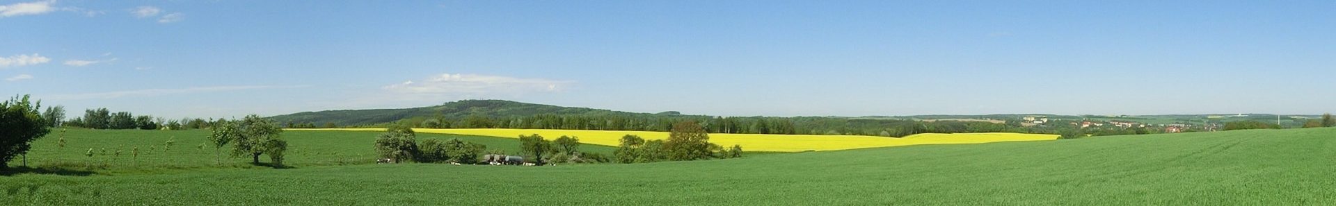 Rochl. Berg, Rochlitz von Seeltz_Gotthard Lagegast