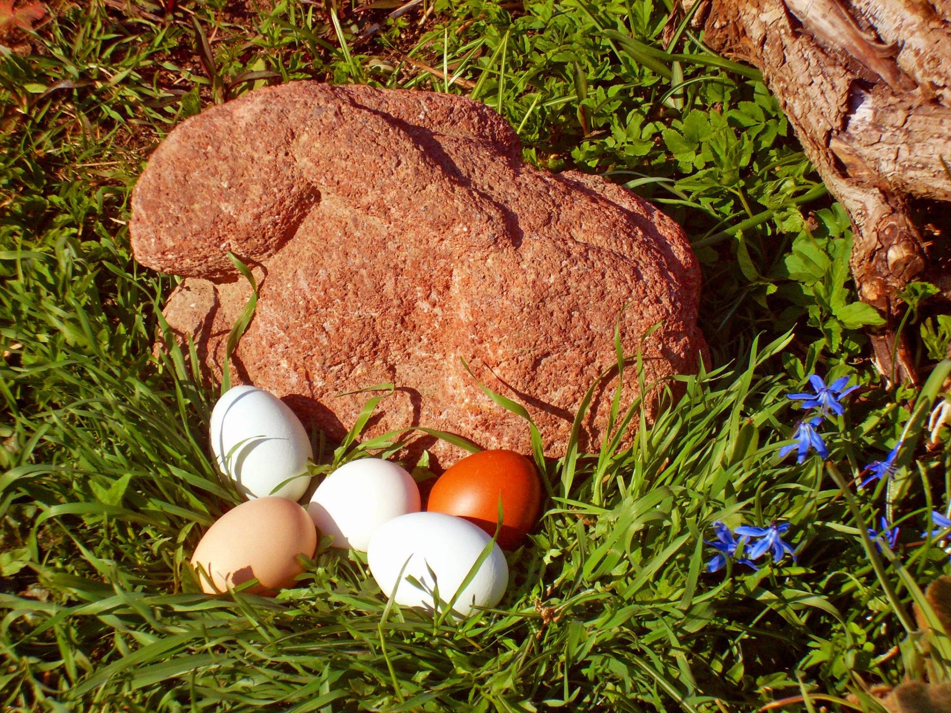 Hase aus Rochlitzer Porphyr, Foto: A. Steinert