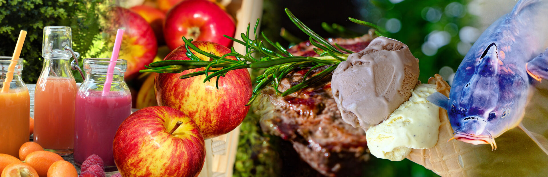Genusspartner Slider_1240x400px
